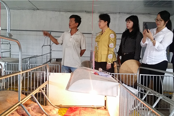 mô hình trại lạnh của gia đình anh Nguyễn Anh Hải, ấp Nhơn Hòa, xã Tây Hòa
