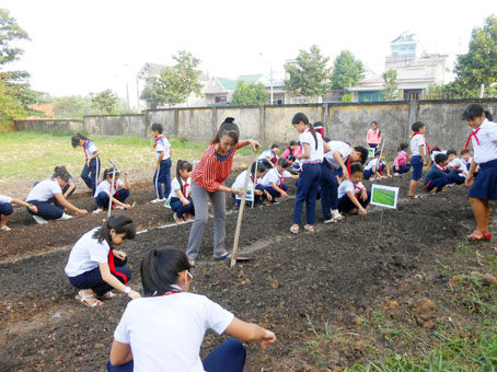 Học sinh Trường tiểu học Phù Đổng trồng rau xanh