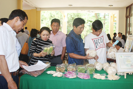 Nông sản Đồng Nai trưng bày tại hội nghị kết nối cung - cầu đưa vào tiêu thụ tại chợ đầu mối Dầu Giây được các doanh nghiệp kinh doanh, xuất khẩu nông sản quan tâm.