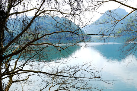 Hồ Ba Bể sau tán cây mùa đông.