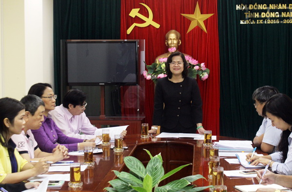Phó chủ tịch UBND tỉnh Nguyễn Hòa Hiệp phát biểu tại buổi làm việc.