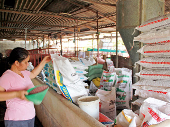 Giá thức ăn chăn nuôi hạ nhiệt