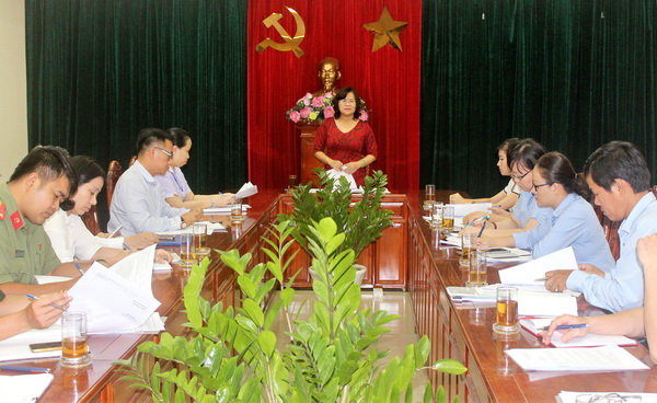 Phó chủ tịch UBND tỉnh Nguyễn Hòa Hiệp phát biểu tại buổi họp