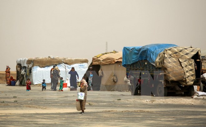 Người dân Syria được sơ tán tránh xung đột tại trại tị nạn gần thị trấn al-Karamah, cách Raqa 26km. (Nguồn: AFP/TTXVN)