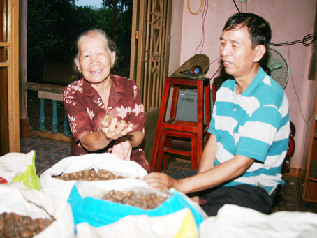 Người dân ấp Mít Nài, xã La Ngà (huyện Định Quán) bên những bao điều vừa mới thu hoạch.
