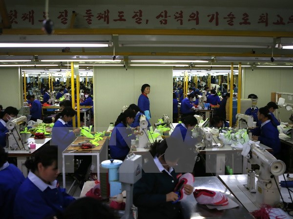 Công nhân Triều Tiên làm việc trong một nhà máy ở khu công nghiệp Kaesong ngày 19/12/2013. (Nguồn: AFP/TTXVN)