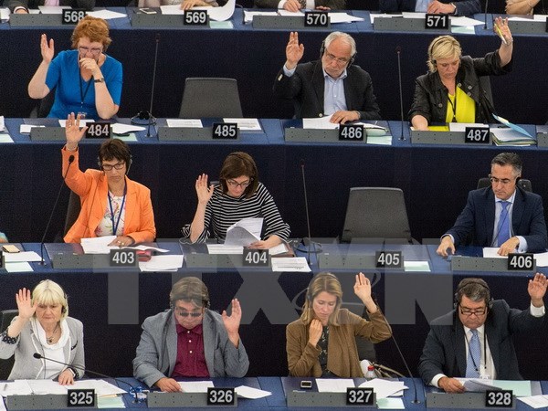  Các nghị sỹ tại phiên họp Nghị viện châu Âu ở Strasbourg, Pháp ngày 14/6. (Nguồn: EPA/TTXVN)