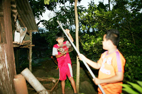 Em Lồng Chính Long (12 tuổi, dân tộc Hoa) cùng bạn là Phạm Huy Phong (13 tuổi, ngụ ấp Cây Điều, xã Bàu Hàm, huyện Trảng Bom) đang hò reo vì vừa bắt được một con chim nhỏ trong lúc làm rẫy phụ giúp gia đình.Ảnh: V.TRUYÊN