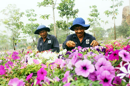 Nhân viên chăm sóc hoa, cây kiểng của Khu du lịch Bửu Long - một đơn vị trực thuộc Tổng công ty công nghiệp thực phẩm Đồng Nai (Dofico).