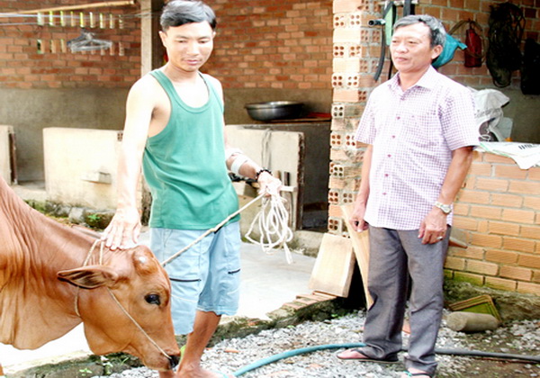 Ông Hoàng Minh Dũng (phải), Trưởng KP. Hiệp Tâm 2, thị trấn Định Quán, huyện Định Quán trao bò giống cho người nghèo ở địa phương. Ảnh: V. Truyên