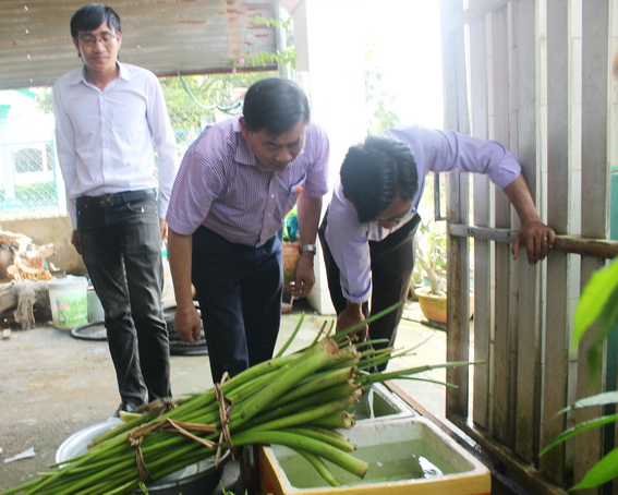 Đoàn công tác của Sở Y tế hướng dẫn người dân ở xã An Phước (huyện Long Thành) đổ các vật dụng chứa nước ngăn ngừa bệnh sốt xuất huyết.