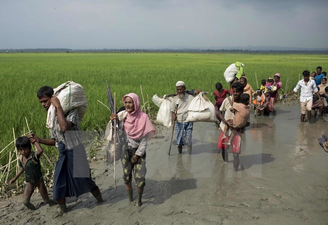 Người Myanmar ở bang Rakhine rời bỏ nhà cửa tránh xung đột tới khu vực biên giới gần thị trấn Teknaf, Bangladesh ngày 5/9. (Nguồn: AFP/TTXVN)