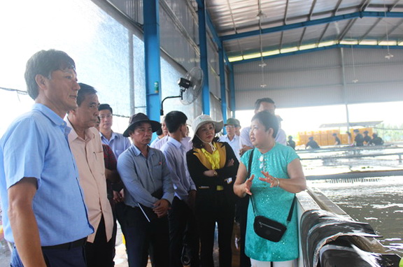 Đoàn công tác tham quan dự án đầu tư trồng chuối xuất khẩu Agropark thuộc xã Xuân Bắc.