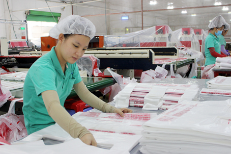 Công nhân Công ty TNHH World Vina (xã Phước Thái, huyện Long Thành, chuyên sản xuất áo mưa, túi ny-lông) trong giờ làm việc. Ảnh: H.DUNG