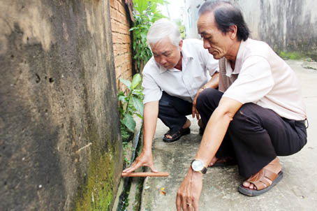 Đôi bạn già Nguyễn Văn Sỹ và Nguyễn Khánh Hiền luôn cặp kè bên nhau vì tuyến đường Bò.