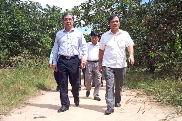 Phó chủ tịch UBND tỉnh Nguyễn Quốc Hùng (hàng đầu, bên trái) tham quan một mô hình trồng điều xen ca cao của hợp tác xã nông nghiệp dịch vụ An Viễn.