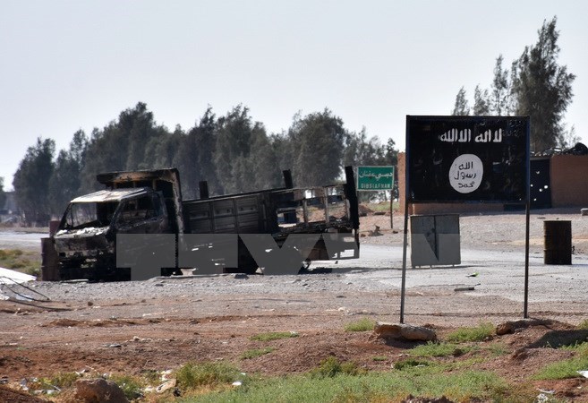 Cờ IS tại khu vực làng Dibsiafnan, ngoại ô Raqa, Syria ngày 11/6. (Nguồn: AFP/TTXVN)