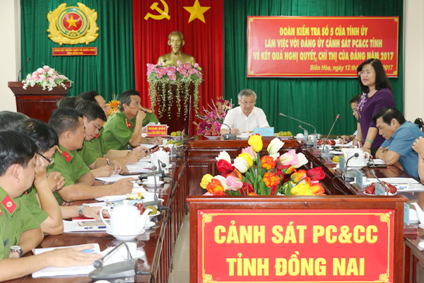 Phó chủ tịch UBND tỉnh Nguyễn Hòa Hiệp phát biểu tại buổi kiểm tra (ảnh: Tài Dũng)
