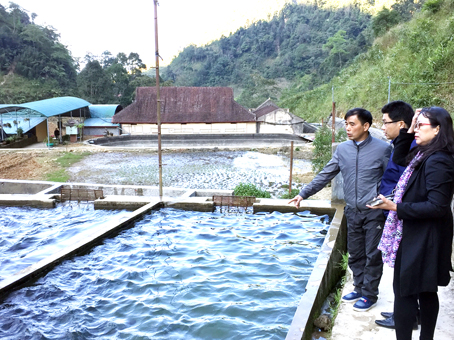 Ông Nguyễn Quang Huy (bìa trái), chủ Cơ sở nuôi cá tầm Khau Phạ, giới thiệu quy trình nuôi cá tầm.