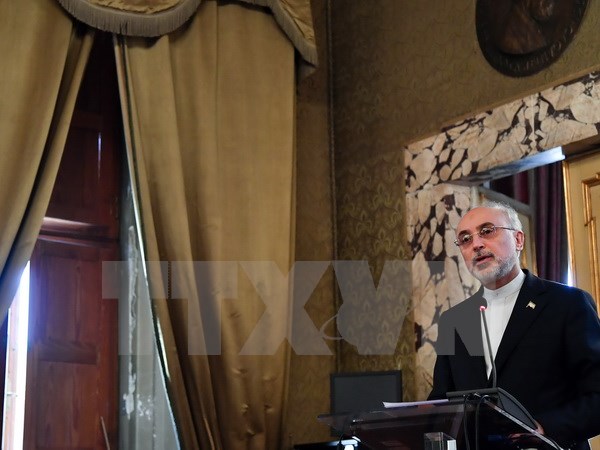 Giám đốc Tổ chức Năng lượng nguyên tử Iran Ali Akbar Salehi. (Nguồn; AFP/TTXVN)