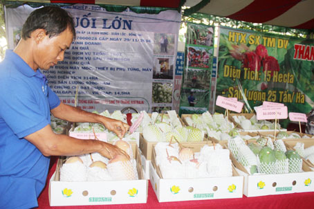 Hợp tác xã xoài Suối Lớn (huyện Xuân Lộc) tham gia hội chợ nông sản sạch do huyện Xuân Lộc tổ chức vào tháng 7-2017.