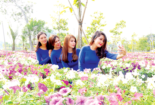 Du khách chụp ảnh với cánh đồng hoa tại Khu du lịch Bửu Long(.TP.Biên Hòa), Ảnh: Văn Truyên