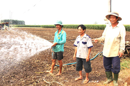 Nông dân Nguyễn Văn Thanh (ngụ ấp 1, xã Lộ 25, huyện Thống Nhất, bìa trái) và các bạn nhà nông rất kỳ vọng vào cánh đồng lớn 7-8A và 7-8B đang thành hình.