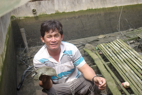 Ông Phan Văn Thìn (xã Mã Đà, huyện Vĩnh Cửu) khoe lứa ba ba chuẩn bị cho thu hoạch.