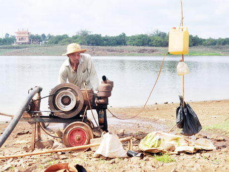 Ông Võ Văn Mỹ dùng máy bơm hút nước từ hồ để tưới cho những cây bắp được trồng ngay tại lòng hồ.