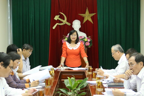 Phó chủ tịch UBND tỉnh Nguyễn Hòa Hiệp phát biểu tại buổi họp.