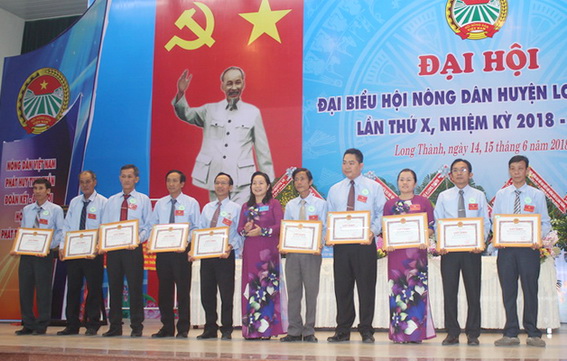 Đại diện lãnh đạo huyện Long Thành trao bằng khen các tập thể, cá nhân có thành tích xuất sắc