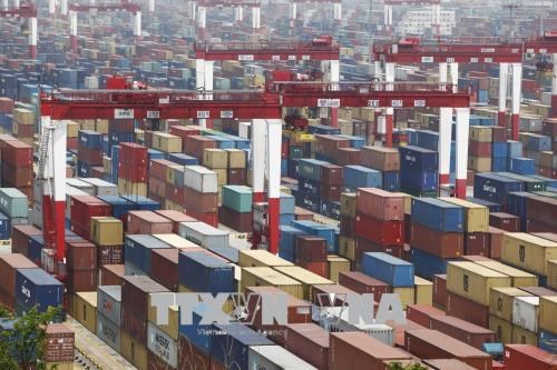 Hàng hóa được xếp tại cảng Dương Sơn ở Thượng Hải, Trung Quốc. (Nguồn: EPA/TTXVN)