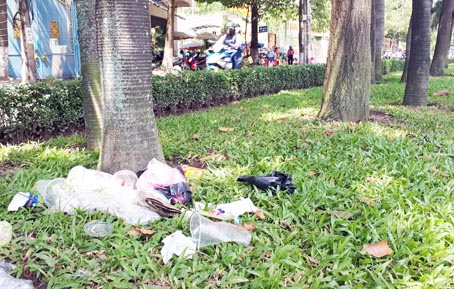 Đống rác trên thảm cỏ xanh ở dải phân cách đường Nguyễn Ái Quốc (TP.Biên Hòa), đoạn gần với nút giao đường Nguyễn Ái Quốc - Phan Đình Phùng.