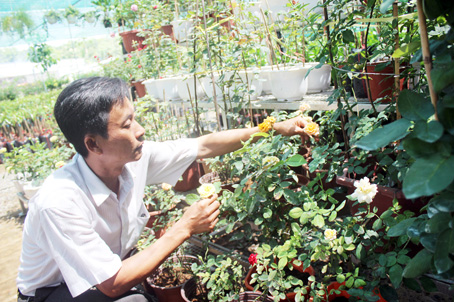 Ông Lê Thành Vũ (xã Phú Thịnh, huyện Tân Phú) giới thiệu các loại cây kiểng đang được thị trường ưa chuộng. Ảnh: B.Nguyên