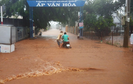 đường vào ấp văn hóa ấp Trần Hưng Đạo, xã Xuân Thạnh, huyện Thống Nhất bị ngập sâu