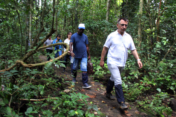 Du khách đi bộ xuyên rừng vào Bàu Sấu (Vườn quốc gia Cát Tiên).