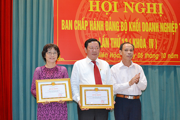 Bí thư Đảng ủy Khối doanh nghiệp tỉnh Trương Văn Vở trao bằng khen của Tỉnh ủy cho các tổ chức cơ sở Đảng đạt trong sạch vững mạnh tiêu biểu 5 năm liền.