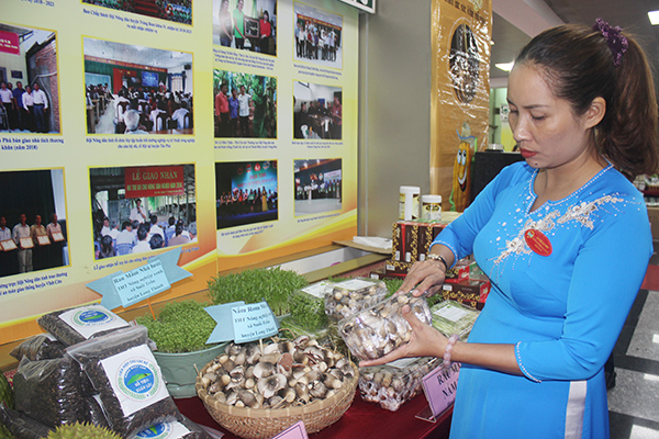 Mô hình trồng nấm trong nhà màng của Tổ hợp tác nông nghiệp xanh xã Suối Trầu được chọn là mô hình điểm giới thiệu tại Đại hội Hội Nông dân tỉnh Đồng Nai nhiệm kỳ 2018-2023.