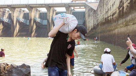 Người dân tranh thủ bắt cá ở chân đập tràn khi Công ty thủy điện Trị An đóng đập xả lũ. Ảnh: Nguyễn Nhâm