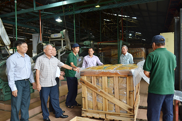 Chủ nhiệm Ủy nhiệm Ủy ban Kiểm tra Đảng ủy Tổng công ty cao su Đồng Nai Lê Văn Tuấn (thứ 2 từ trái qua) thăm công nhân Công ty cổ phần cao su Hàng Gòn.