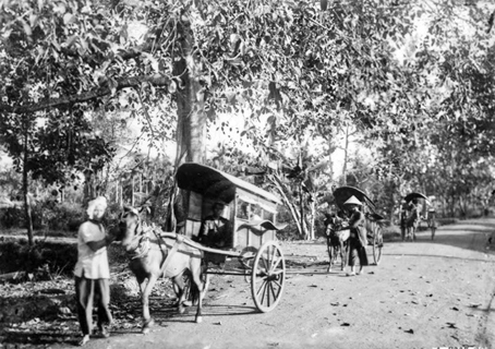 Xe ngựa trên đường phố Biên Hòa đầu thế kỷ 20.