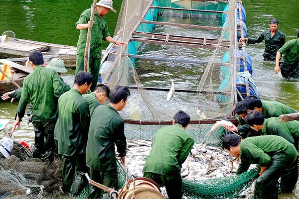 Kết quả đánh bắt cá của các thành viên Đội nuôi trồng thủy sản hồ Sông Mây.