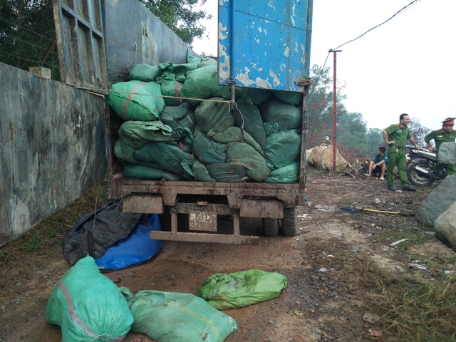 Một số xe tải chở chất thải rắn dạng bùn thải chưa qua xử lý.