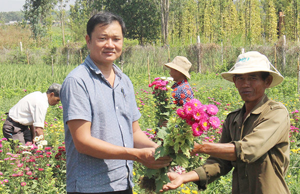 Làng hoa ấp Trung Sơn, xã Xuân Trường (huyện Xuân Lộc) của người dân tộc thiểu số Chơro đang chuẩn bị thu hoạch bán tết