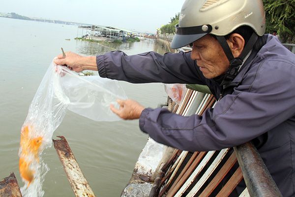 Người dân thả cá chép đưa ông Công, ông Táo về trời tại bờ kè dọc theo đường Nguyễn Văn Trị từ sáng sớm.