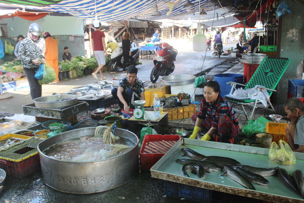 Các loại cá tươi sống được bày bán khá nhiều tại chợ Hóa An (TP. Biên Hòa)
