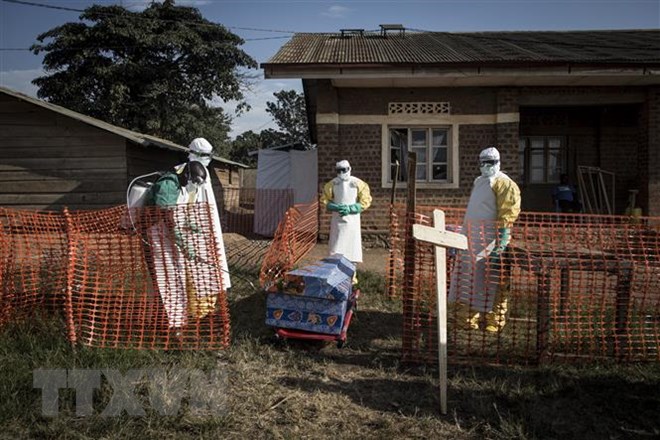 Nhân viên y tế phun thuốc khử trùng xung quanh một quan tài của bệnh nhân nhiễm Ebola tại Beni, CHDC Congo ngày 13-8-2018. (Ảnh: AFP/ TTXVN)