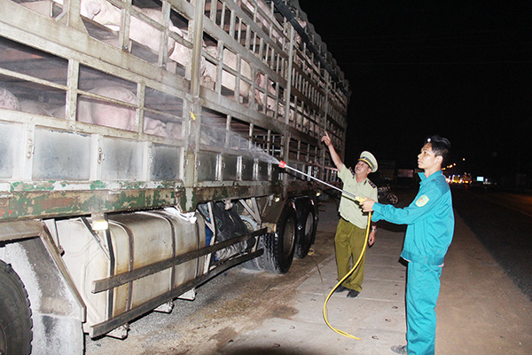 Lực lượng chức năng tiến hành phun thuốc khử trùng cho các xe chở heo qua chốt kiểm dịch động vật trên quốc lộ 1 (xã Xuân Hòa, huyện Xuân Lộc) rạng sáng ngày 14-3. Ảnh: H.Quân