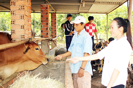 Chủ tịch Ủy ban MTTQ Việt Nam xã Bảo Quang (TX.Long Khánh) Lương Thị Bảo Thùy thăm hỏi, động viên một hộ nghèo được nhận bò chăm sóc từ mô hình “Hỗ trợ bò sinh sản cho hộ nghèo"