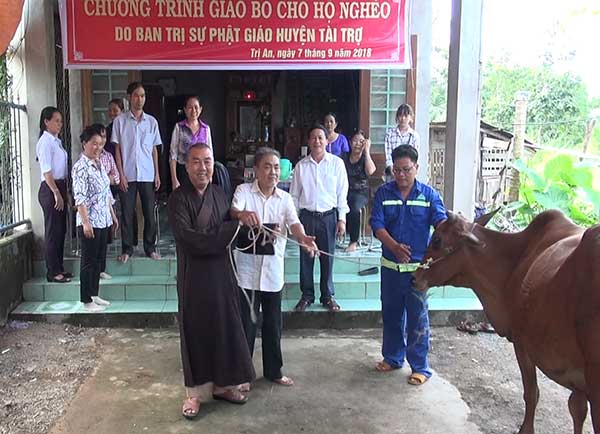 Ban Trị sự Giáo hội Phật giáo Việt Nam huyện Vĩnh Cửu tặng bò giống sinh sản cho hộ ông Lê Văn Lợi ở xã Trị An
